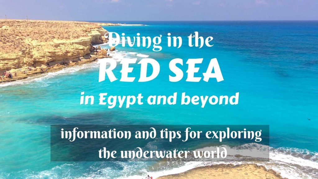 Diving in the Red Sea in Egypt and beyond- information and tips about exploring the underwater world