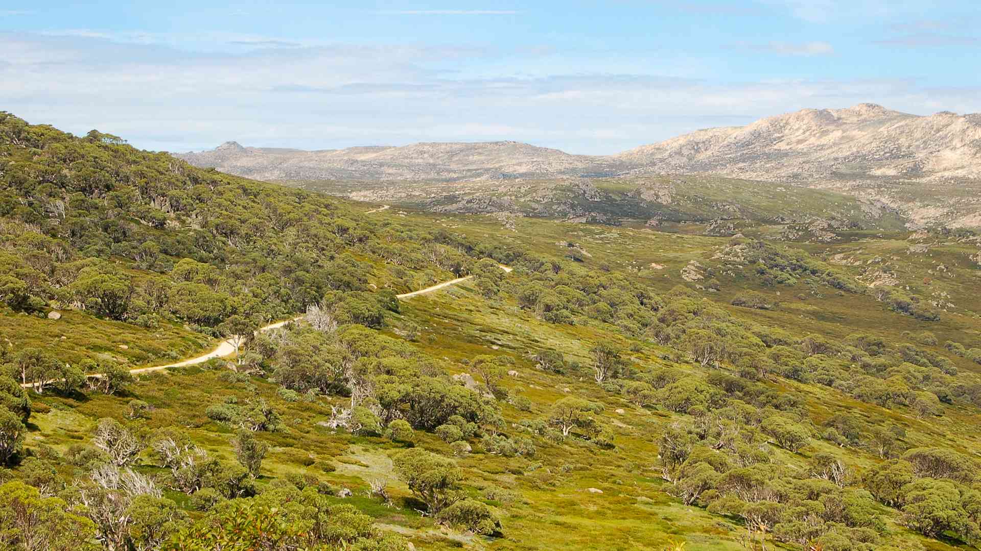 In the highest mountains of Australia: Why Thredbo is a Hiking Paradise