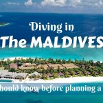 Diving in the Maldives- tips you should know before planning a trip there