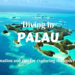 Diving in Palau- useful information and tips for exploring the underwater world