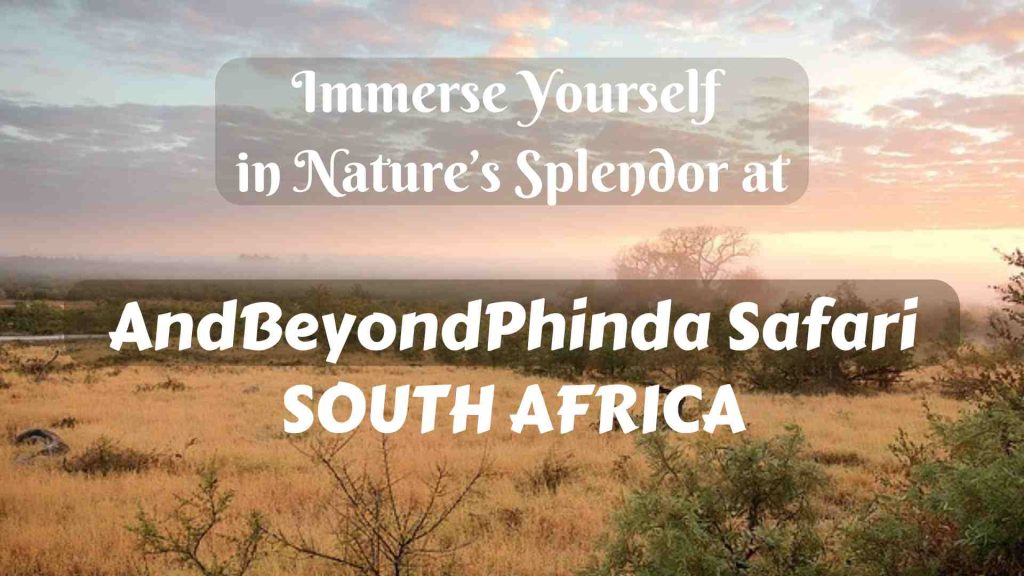Immerse Yourself in Nature’s Splendor at AndBeyondPhinda Safari