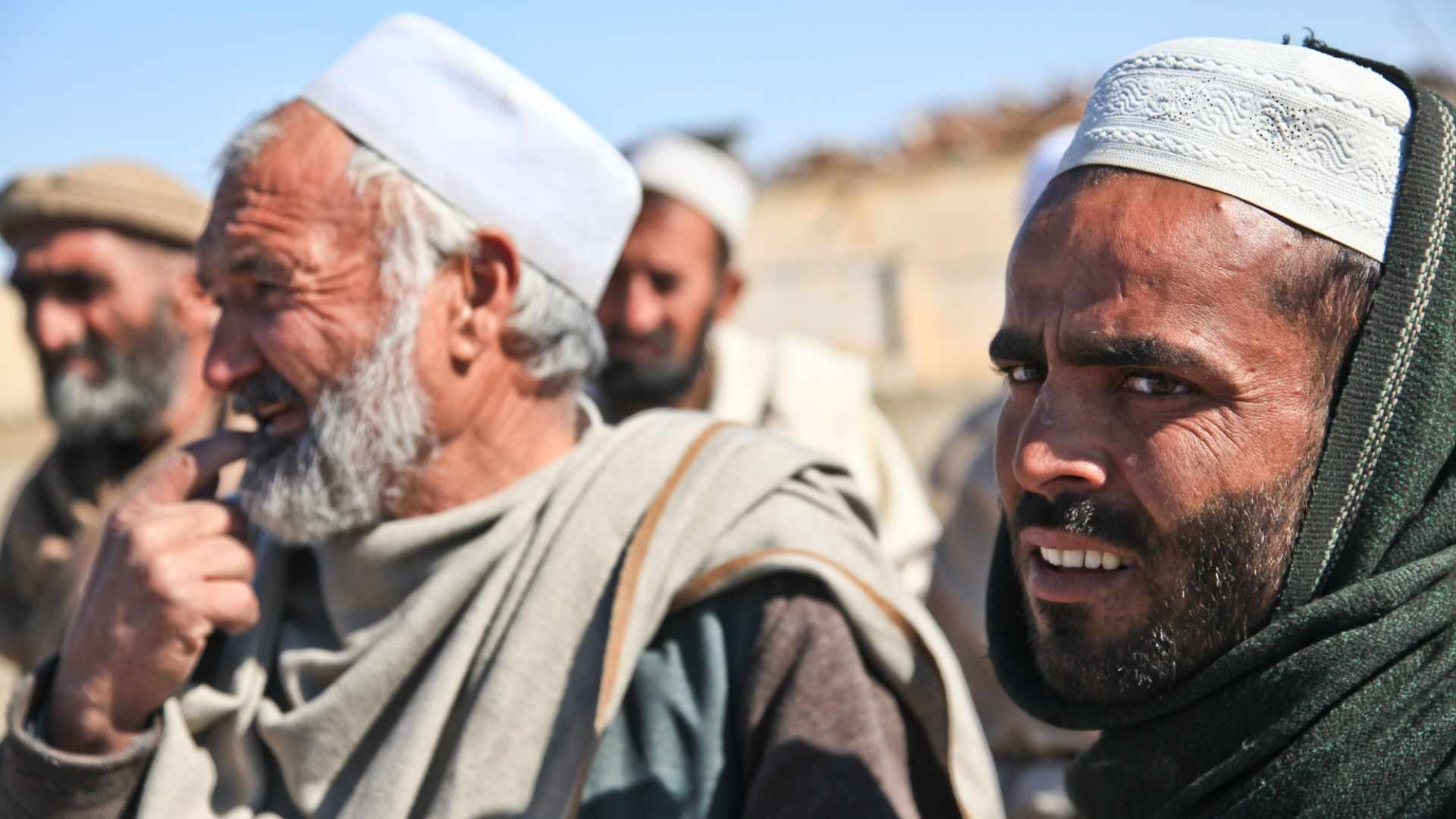 Afghans