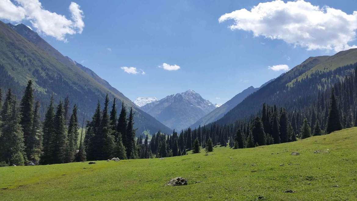 Forest, meadows and peaks, south of Altyn Arashan, Kyrgyzstan, Tianshan