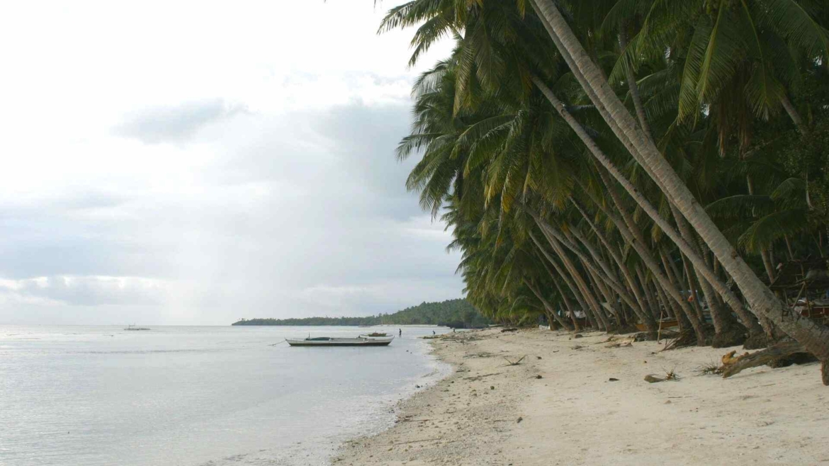 An island coast during the wet season