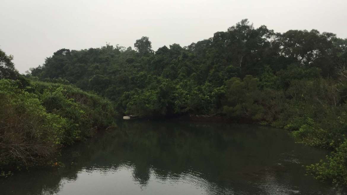 A wild lagoon type of river mouth in Sai Kung, Hong Kong