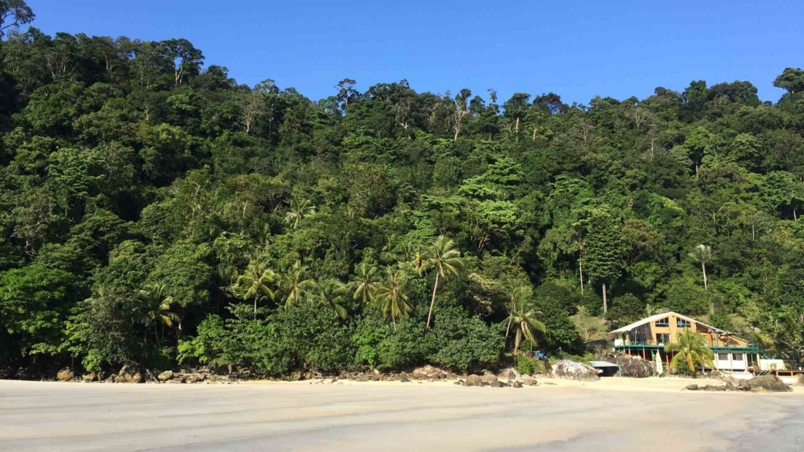 Beach and rainforest on Tioman Island