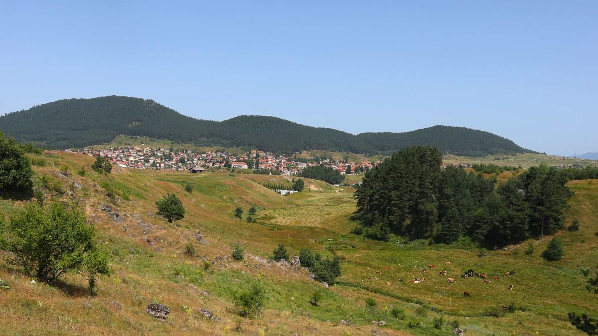 Ravnogor Village from the grassland