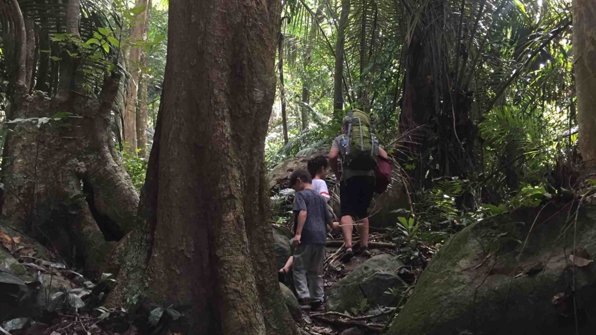 On foot, hiking trail on Tioman Island
