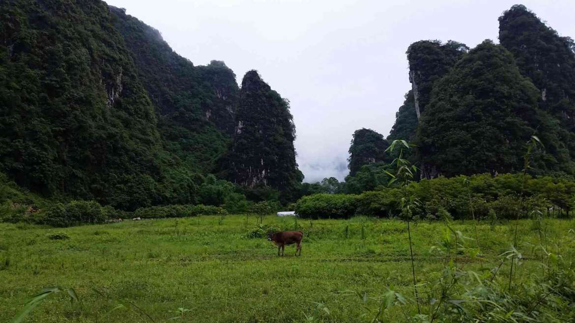 Yingxi Limestone Hills- Guanying valley