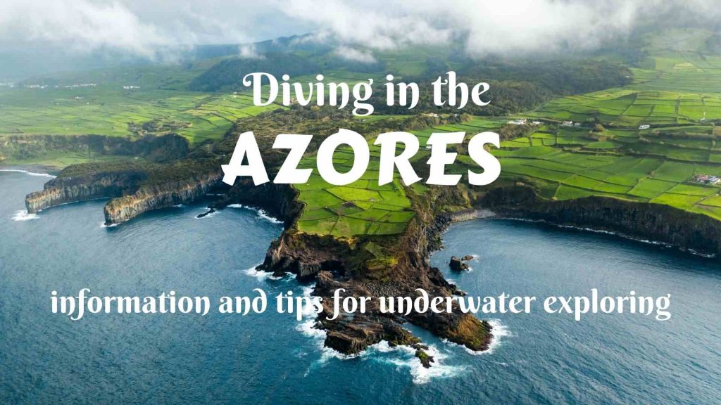 Diving in the Azores- information and tips for underwater exploring