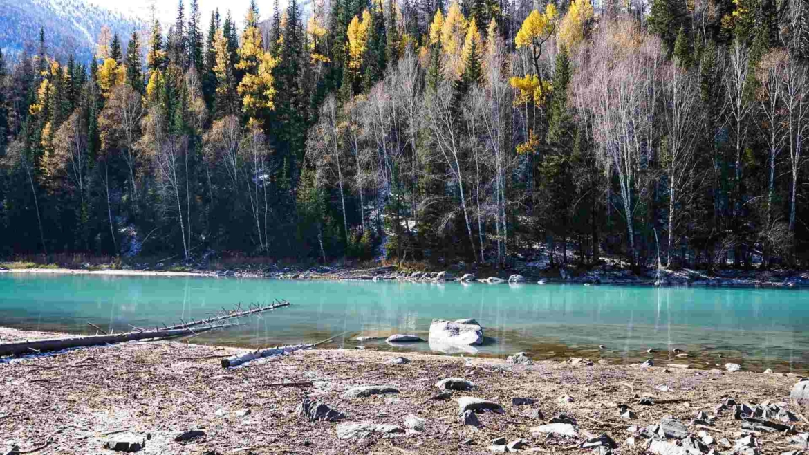 Xinjiang travel- Kanas Lake area