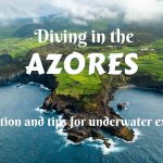 Diving in the Azores- information and tips for underwater exploring