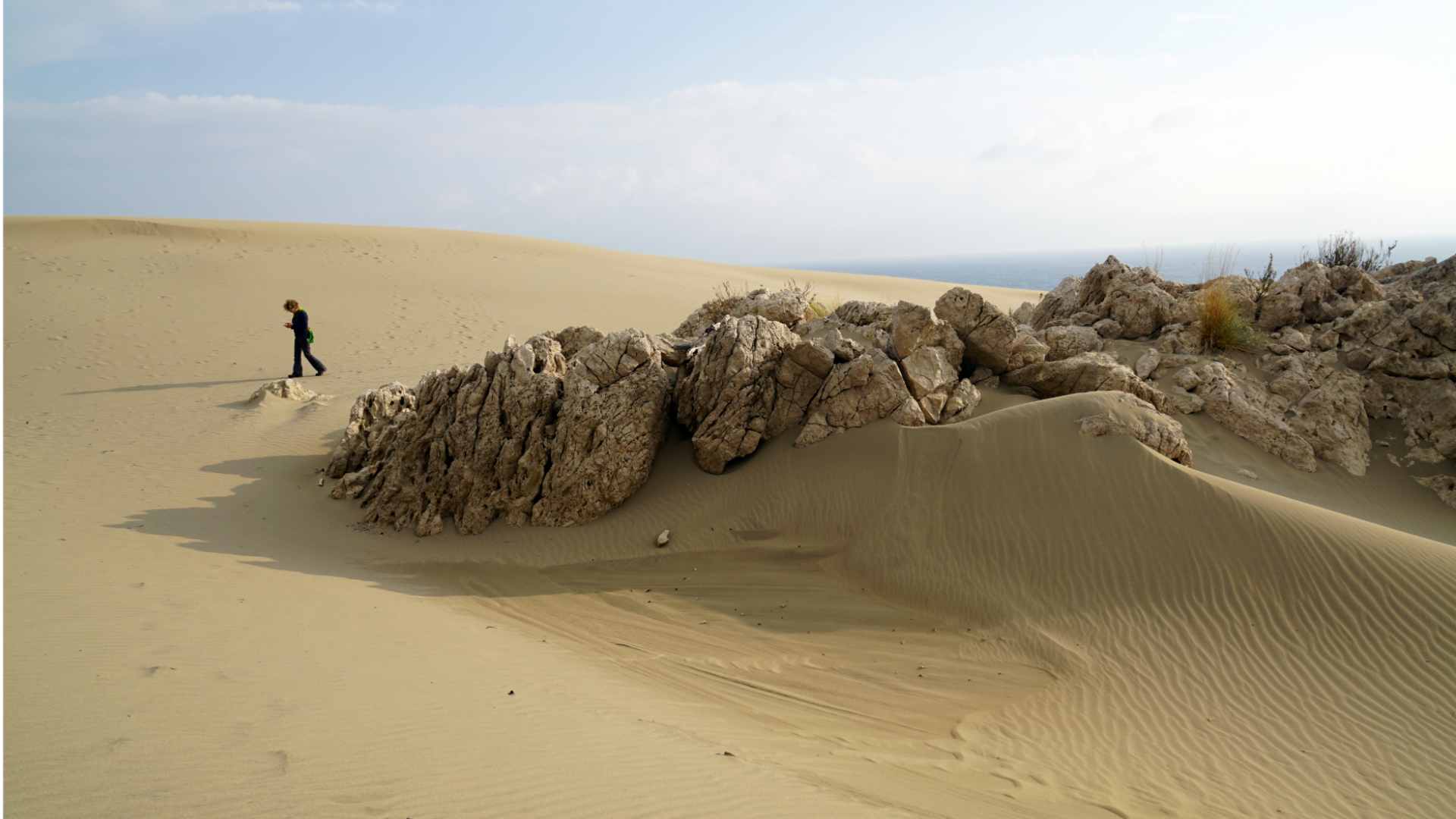 On the dunes of Patara