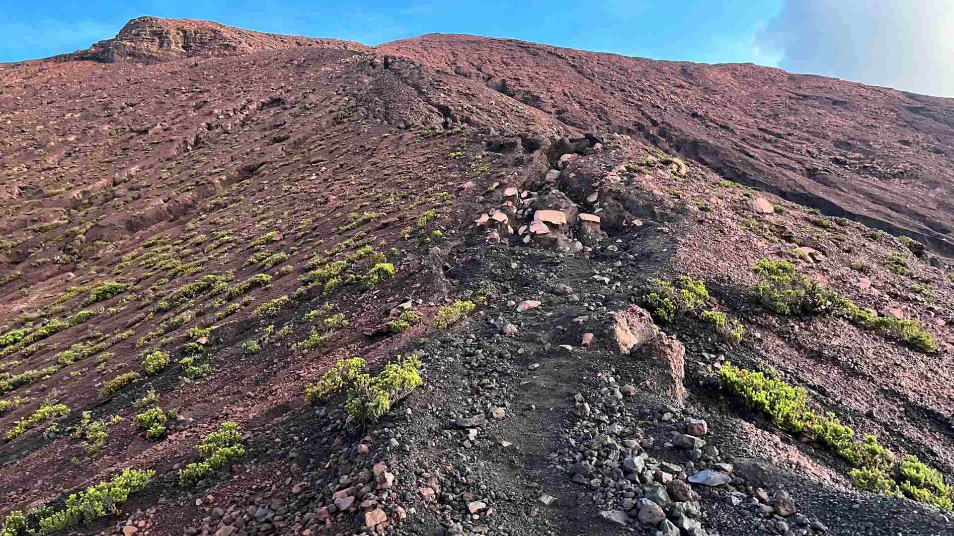 The final section of the trail, above the tree line