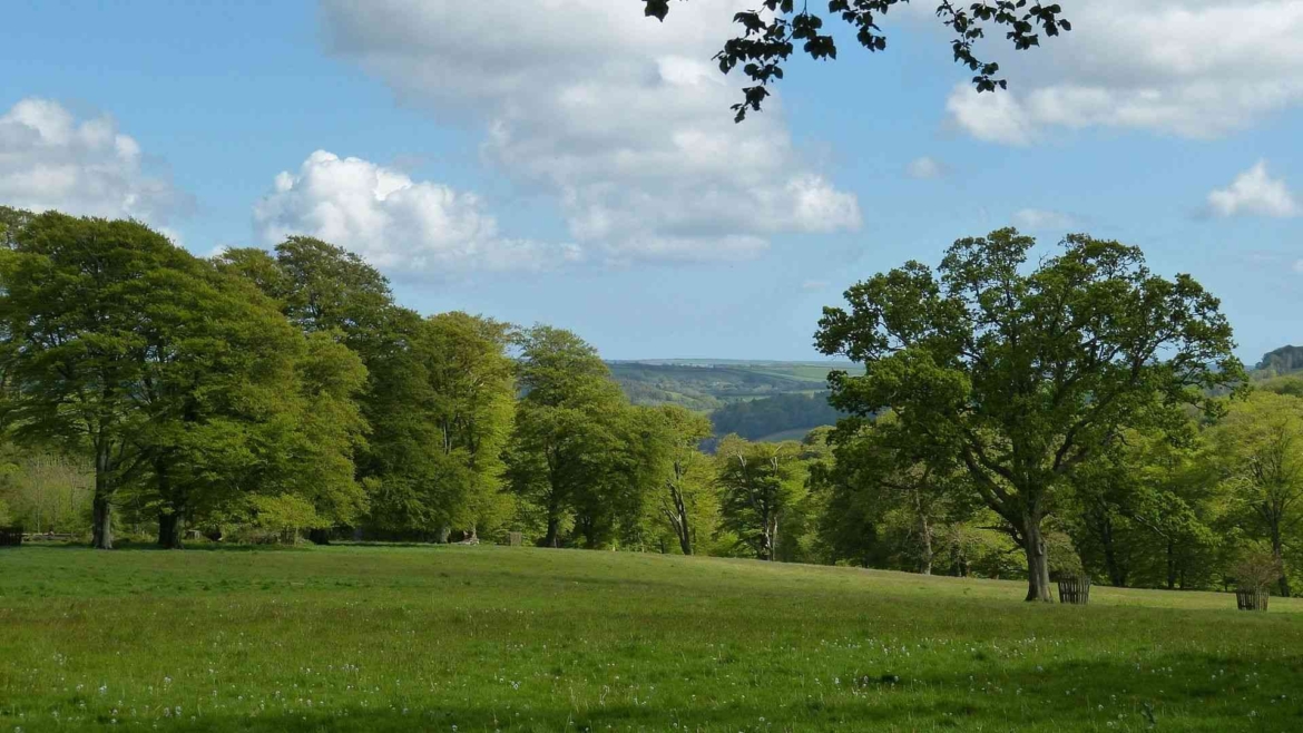 A landscape from Middle Europe