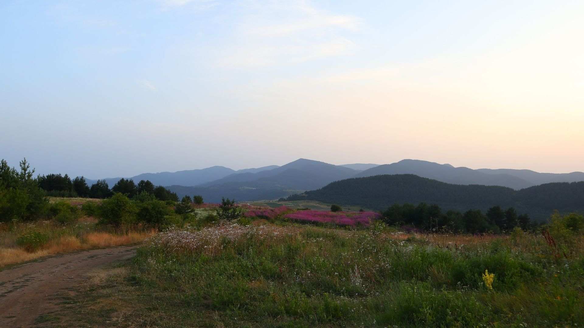 Ravnogor Plain- grasslands, flowers, forests and views