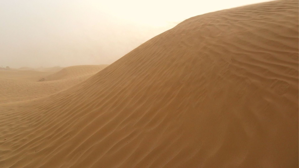 A dune in Taklamakan Desert