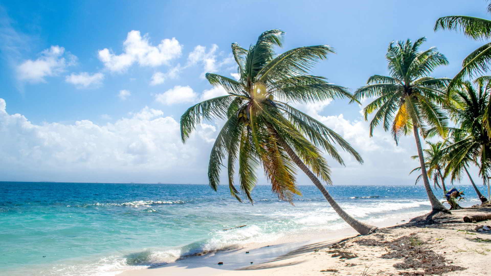 On an island near Padang