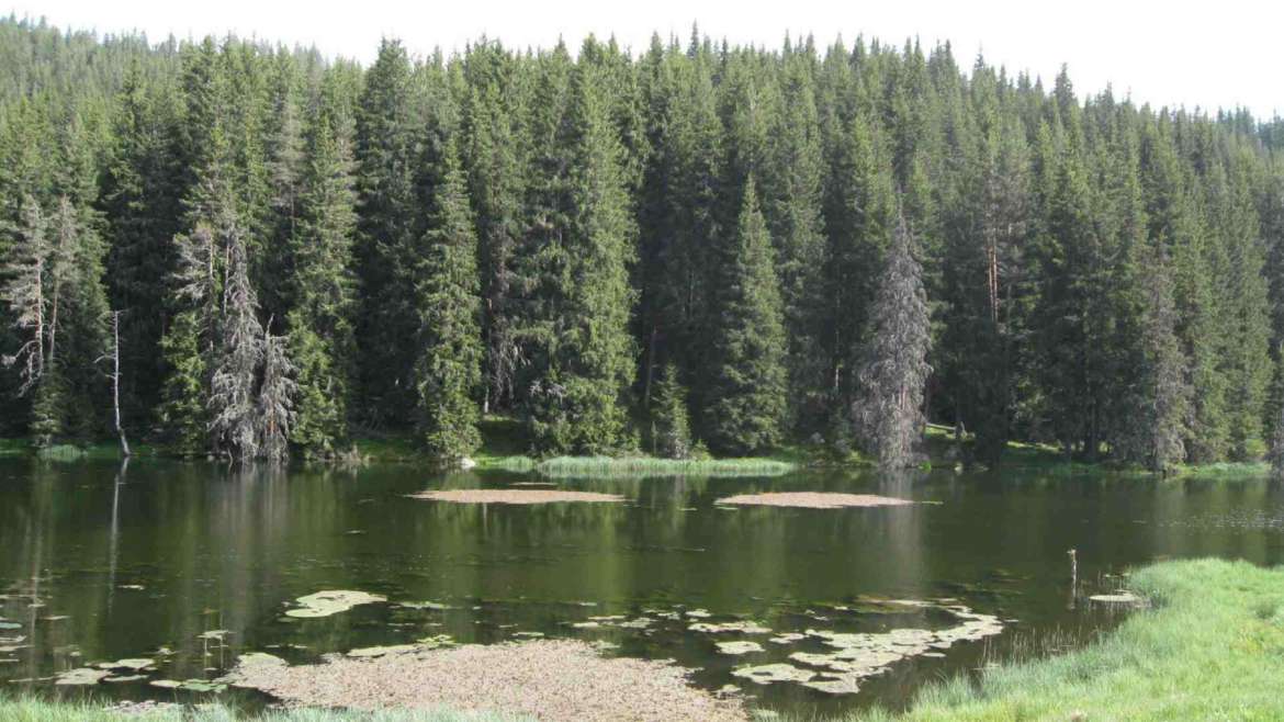 Chukura lake, Rhodope mountains
