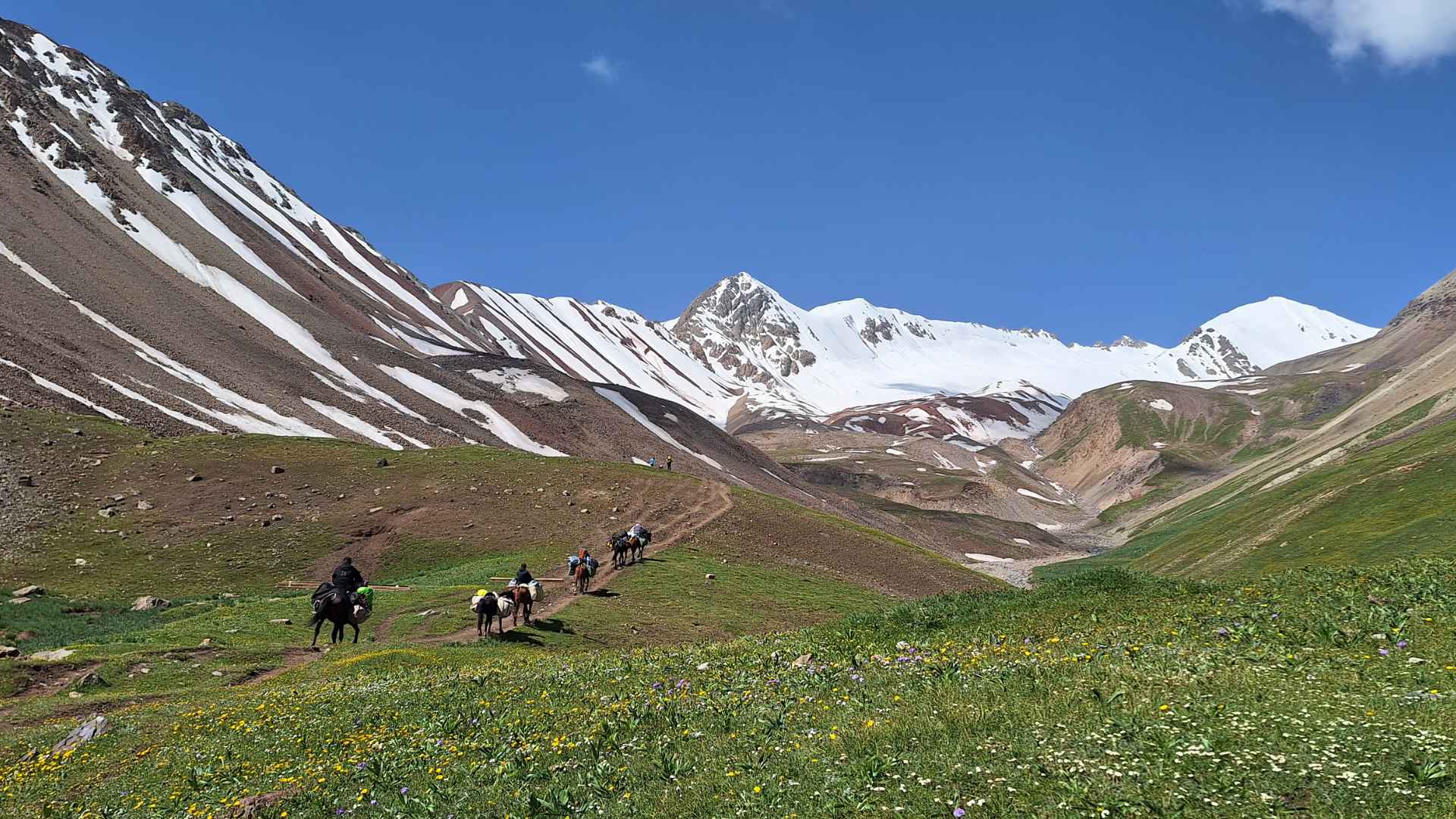 On the trail between the Base Camp and Traveler's Pass