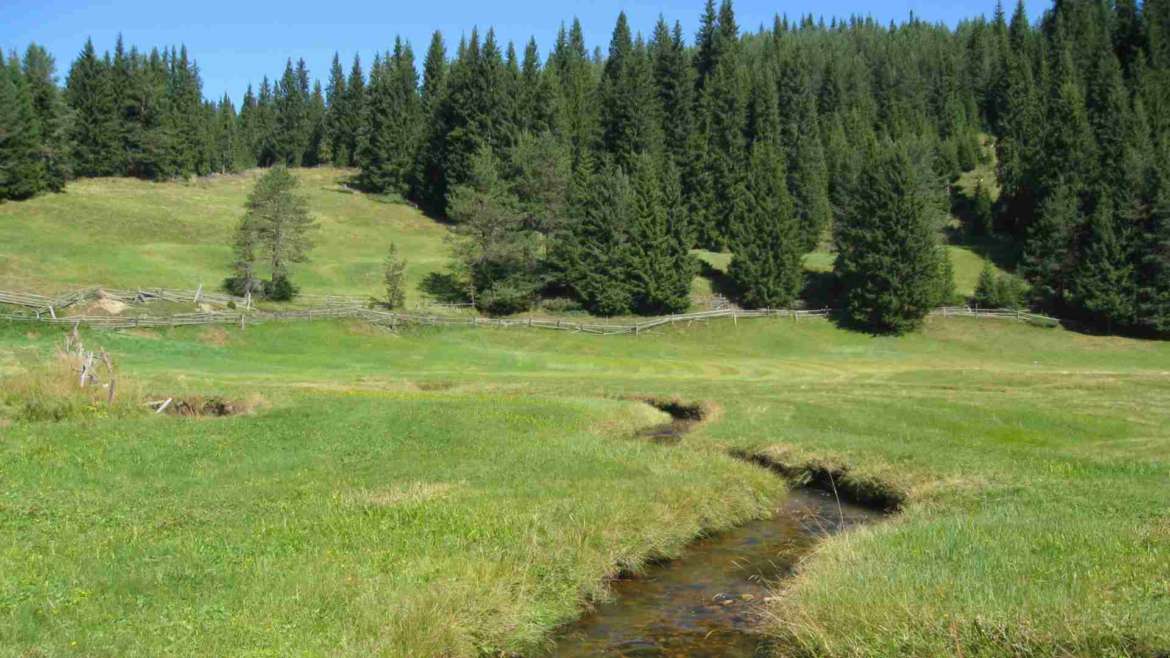 Cherno dere meadows, Rhodope mountains