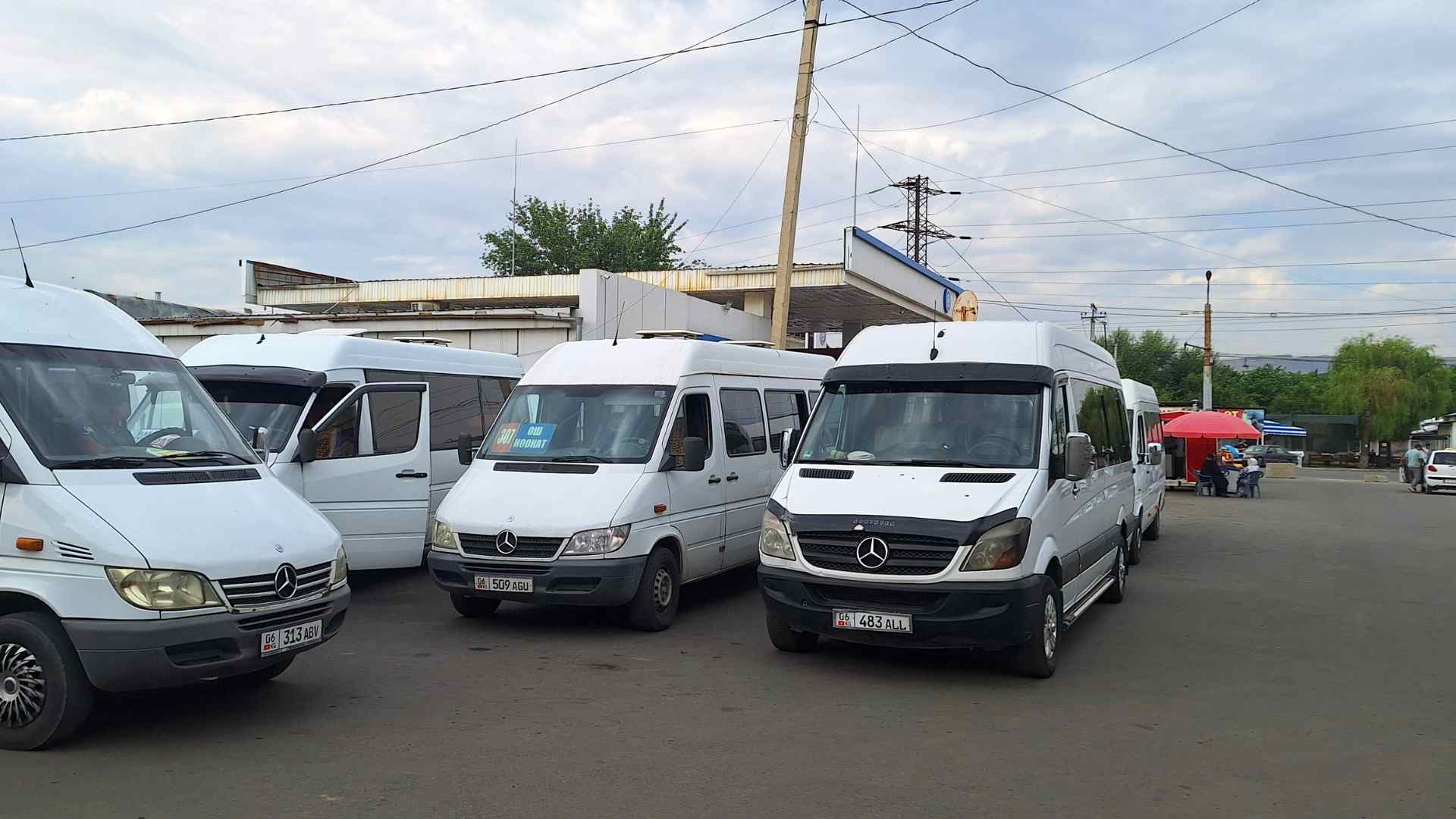 Marshrutkas in Osh Avtovokzal