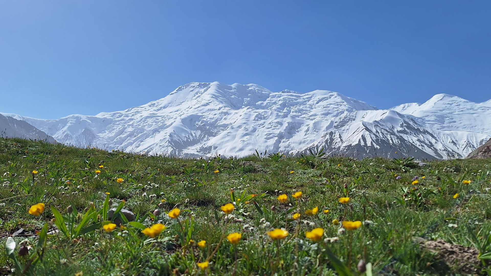Trans-Alay Range in summer