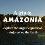 A trip to the Amazon- explore the largest equatorial rainforest on the Earth