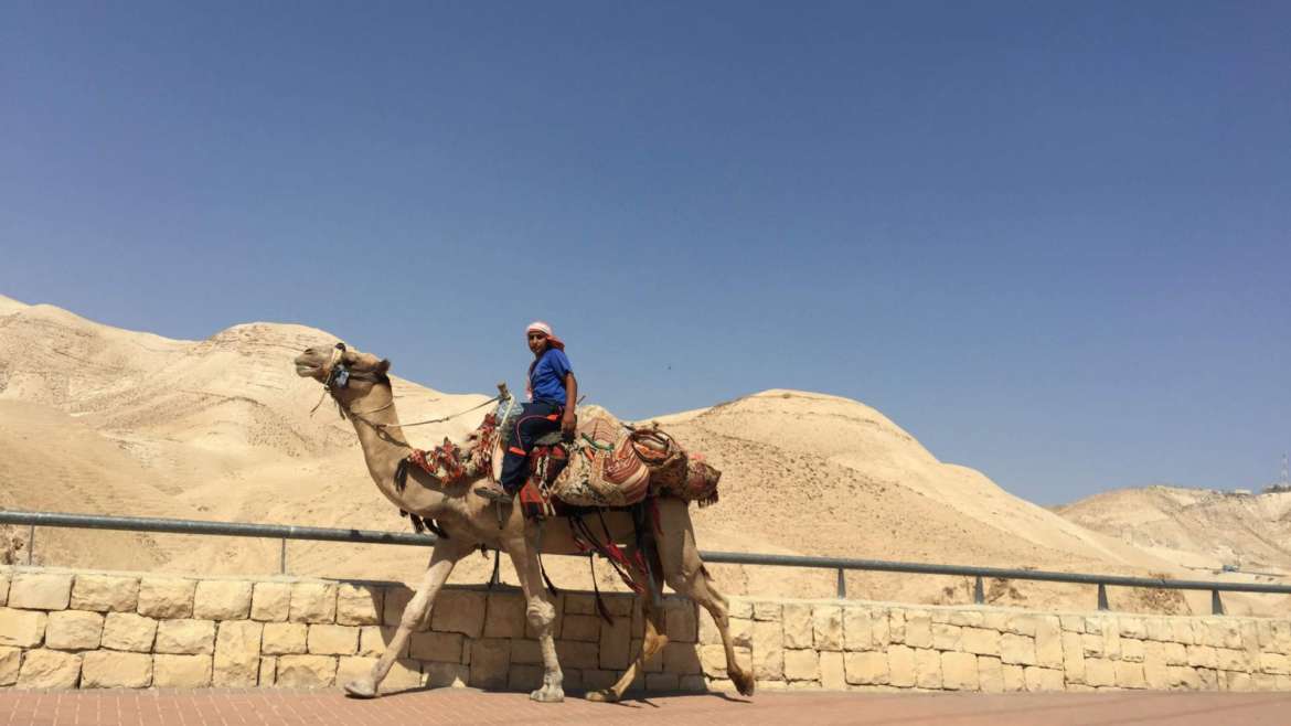 Israel itinerary- a camel with its master, on the way from Jerusalem to Dead Sea, 0 m altitude