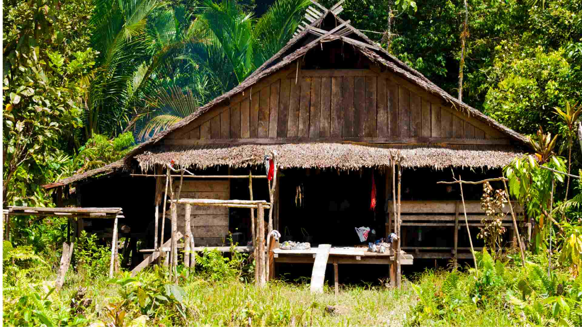 "Uma"- a tribal house on Siberut