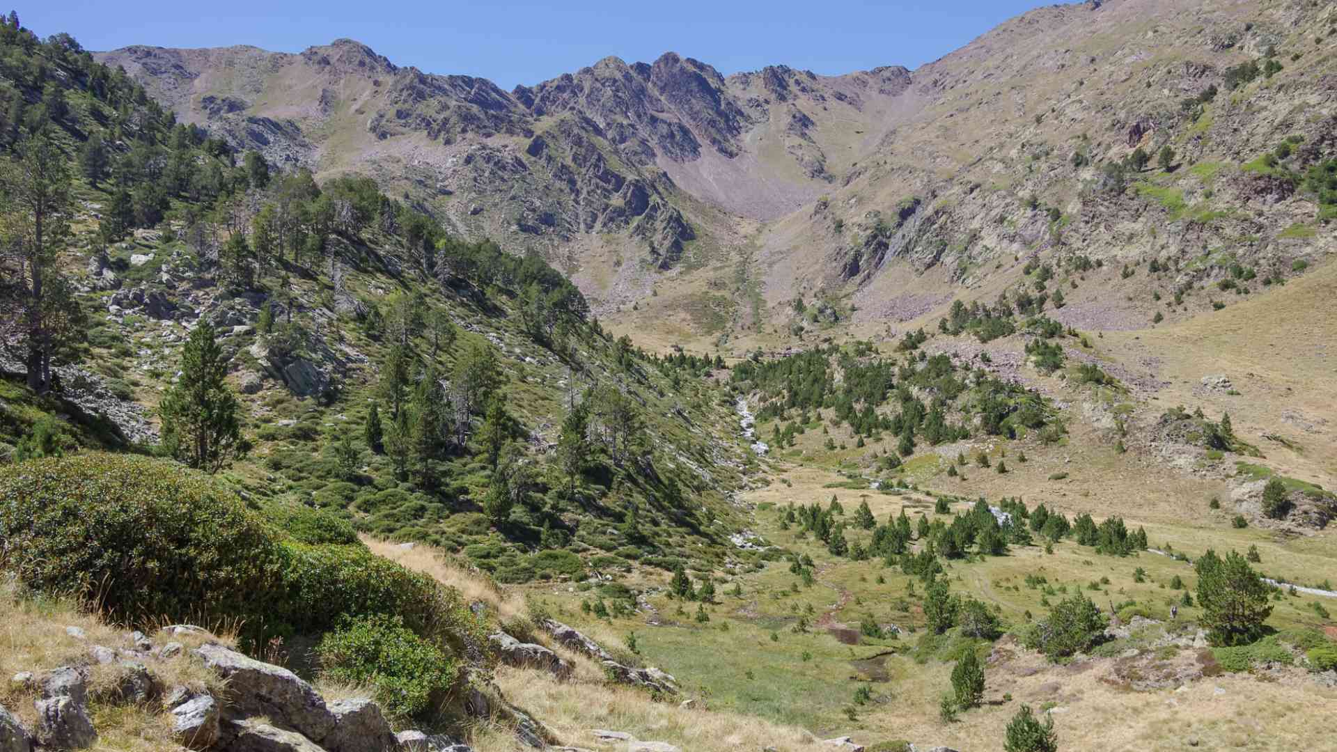 Coma Pedrosa Natural Park