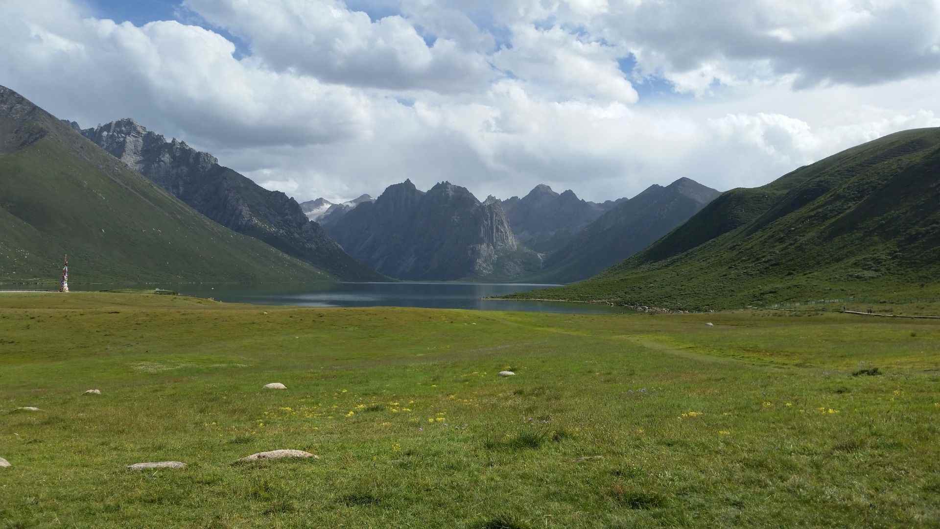 The grassland at Shug Tso Lake in Nyenbo Yurtse