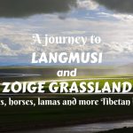 A journey to Langmusi (Taktsang Lhamo) and Zoige Grassland- prairies, horses, lamas, and more Tibetan beauty