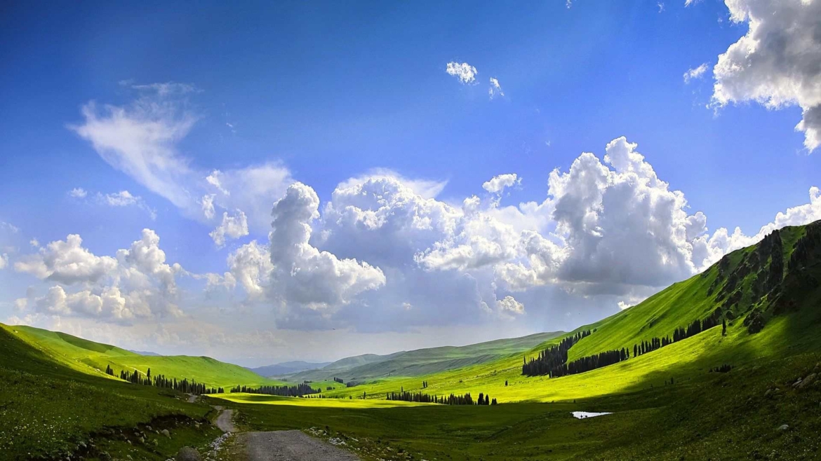 Xinjiang travel- a grassland in Tianshan Mountains