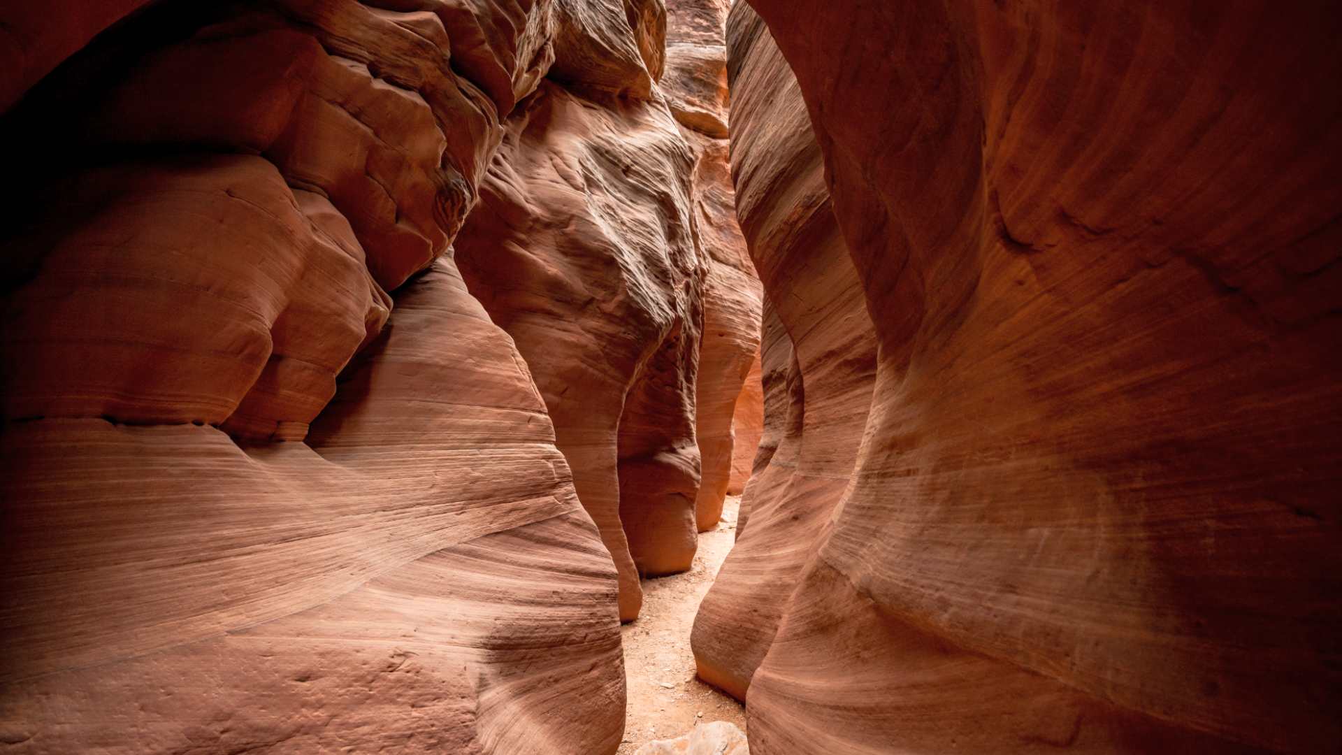 In the Buckskin Gulch