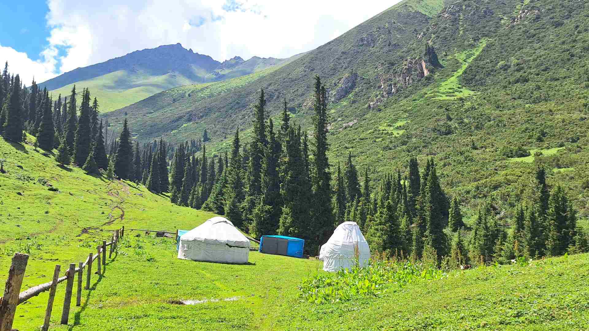 Nomadic yurts