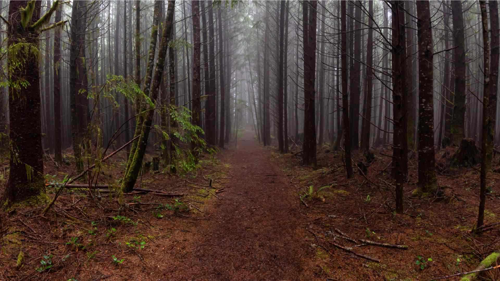 The 7 Best Hiking Trails in British Columbia