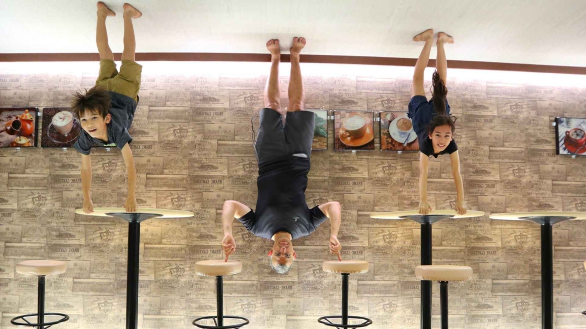 In the Upside Down Museum