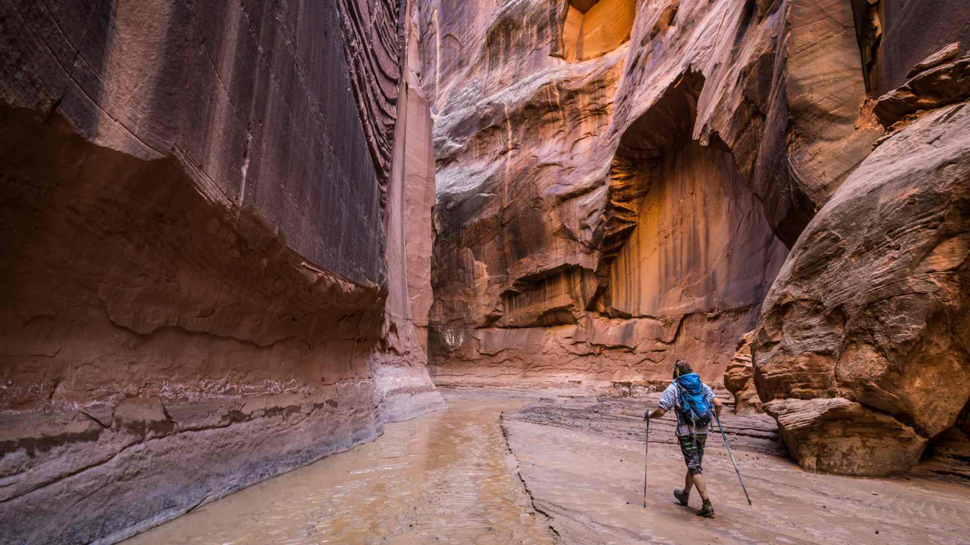 At the confluence of the Bucksking Gulch with the Paria Canyon