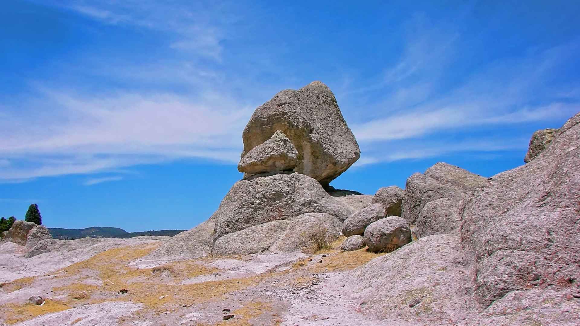 Stone mushrooms near Creel