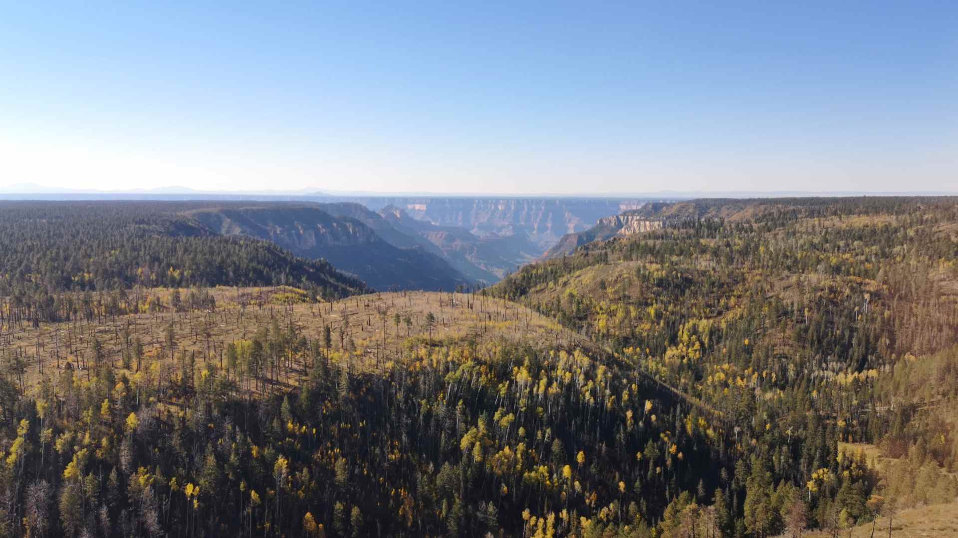 The edge of the North Rim