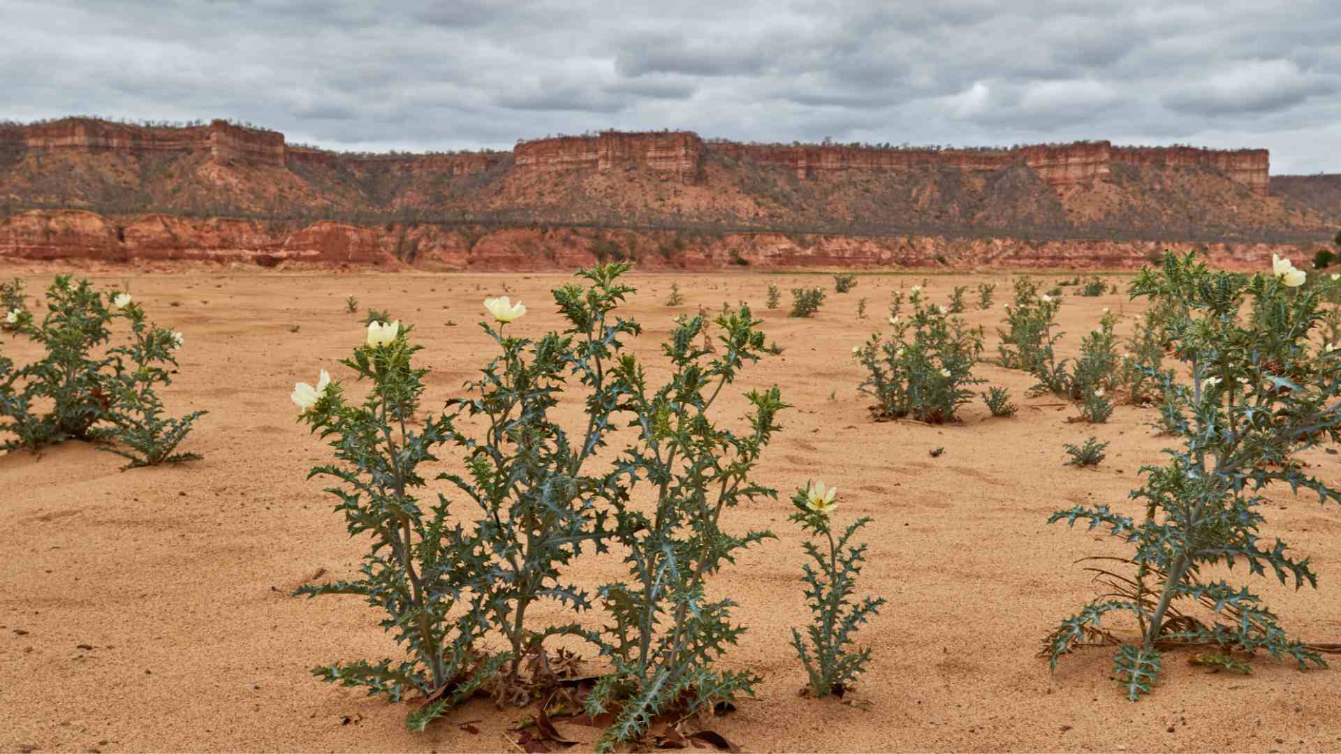 Gonarezhou National Park