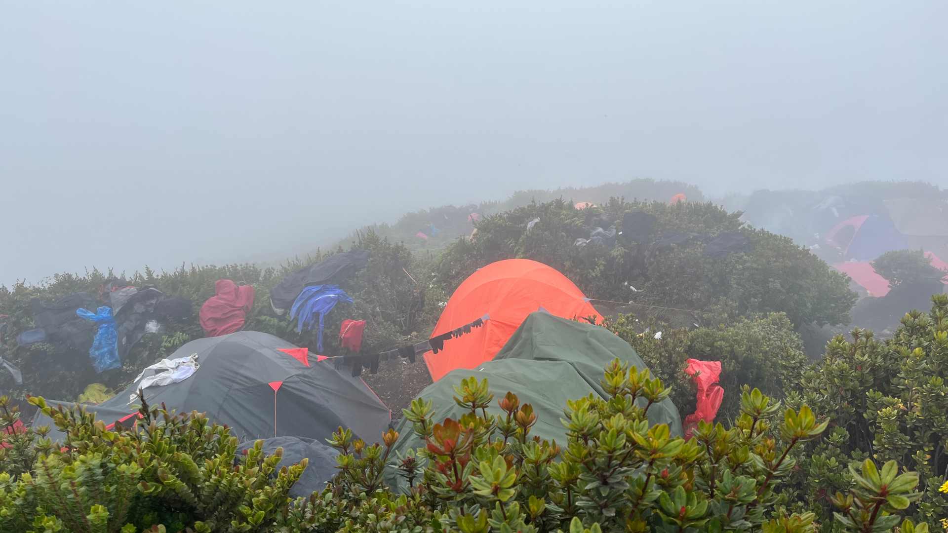 Camp 3, at the end of the tree line