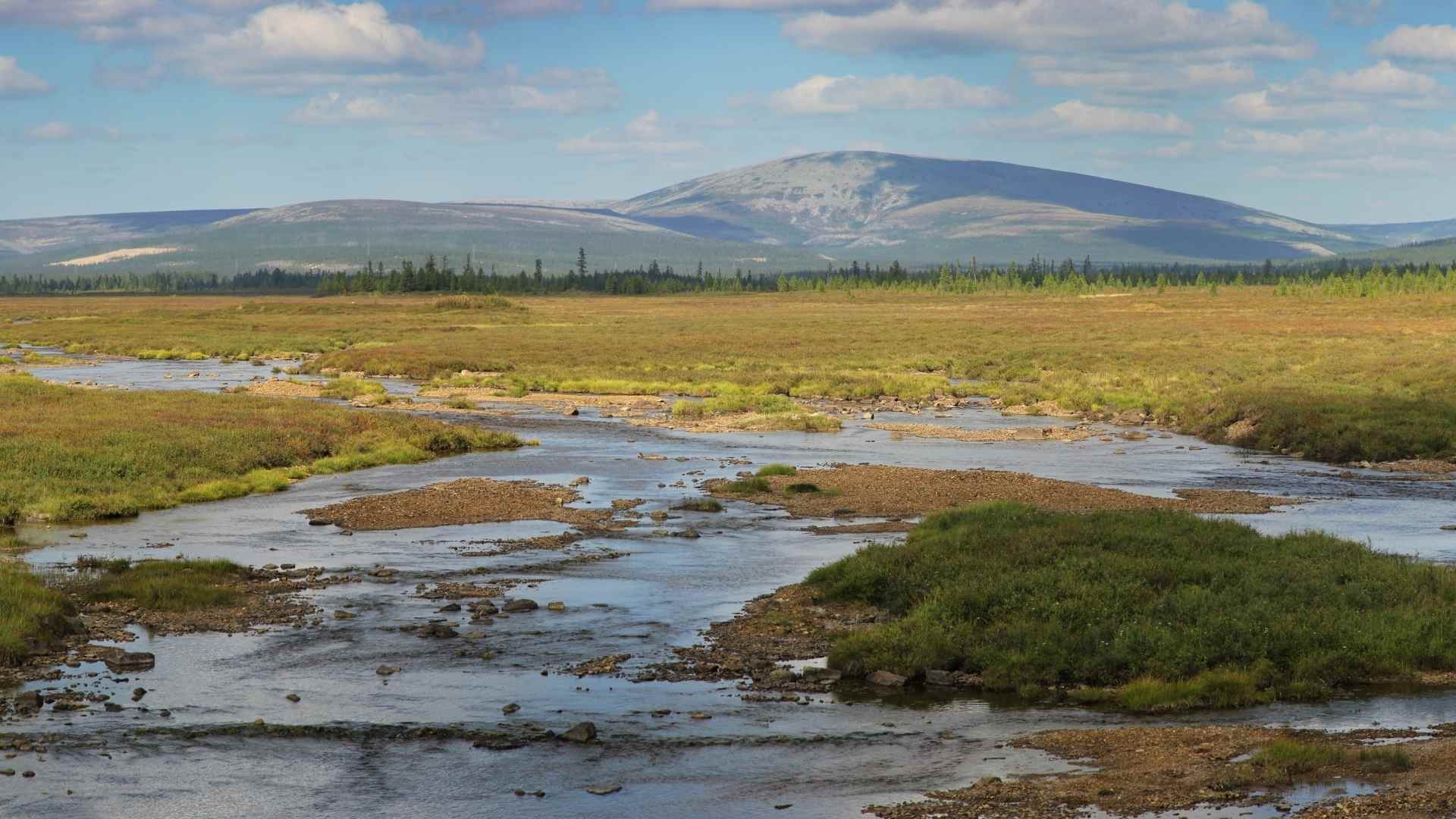 The wilderness of Chukotka