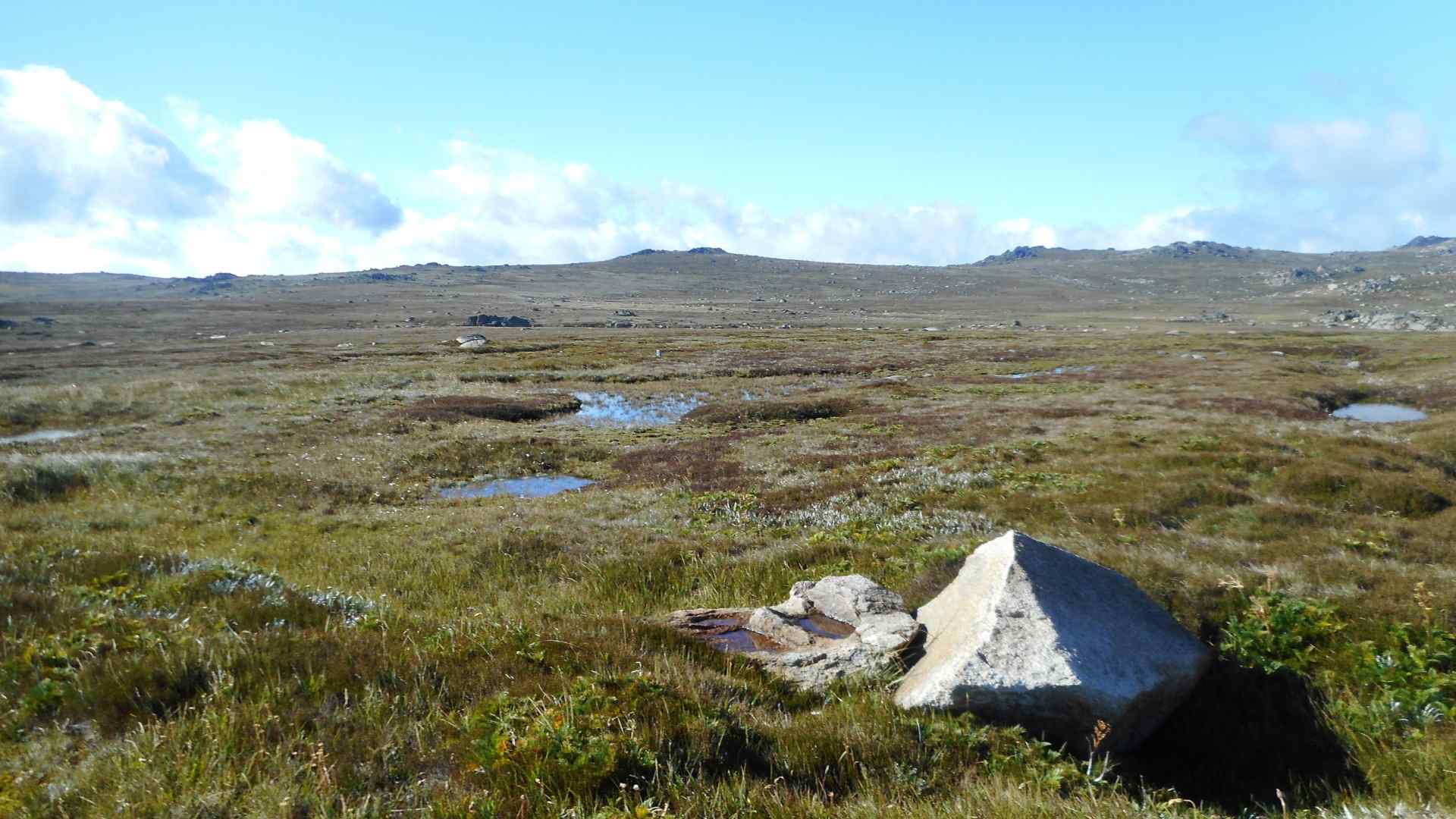 In the highest mountains of Australia: Why Thredbo is a Hiking Paradise