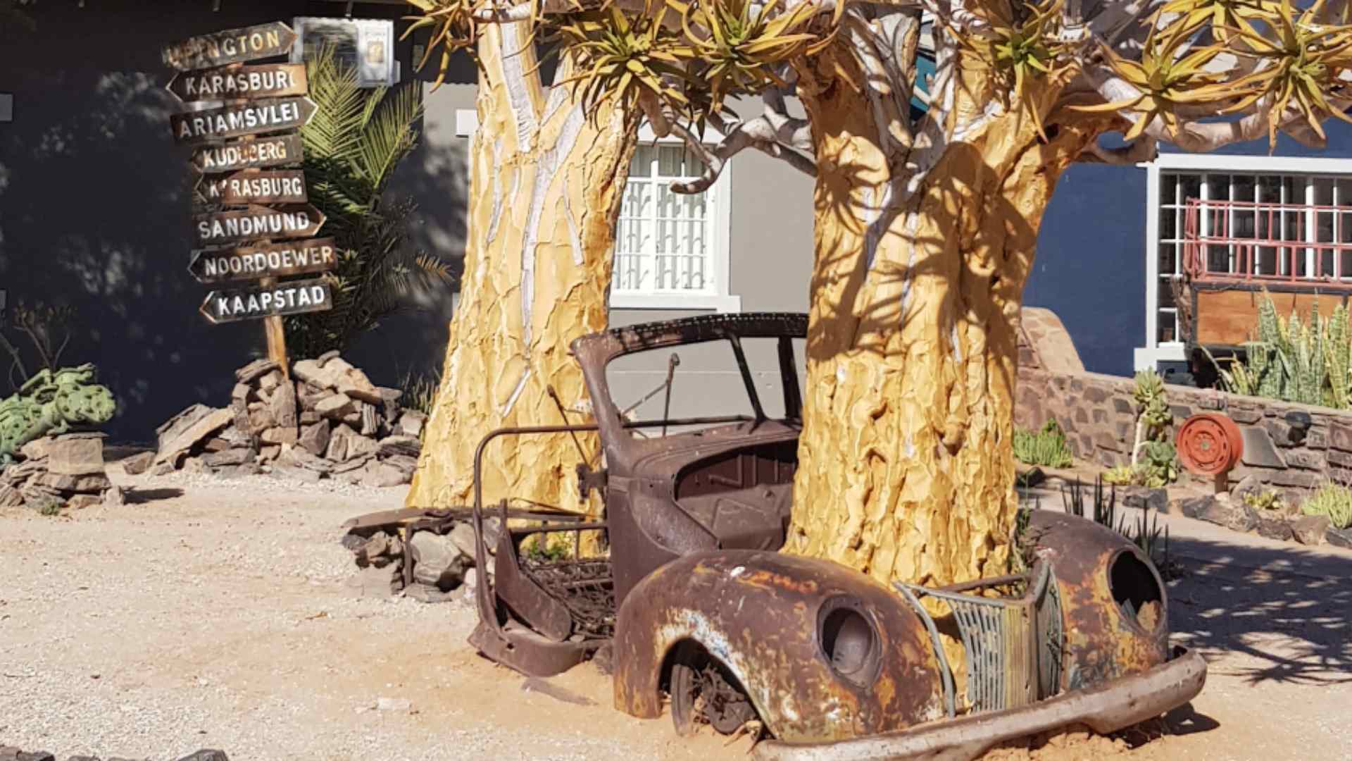 A tree growing through a vintage car