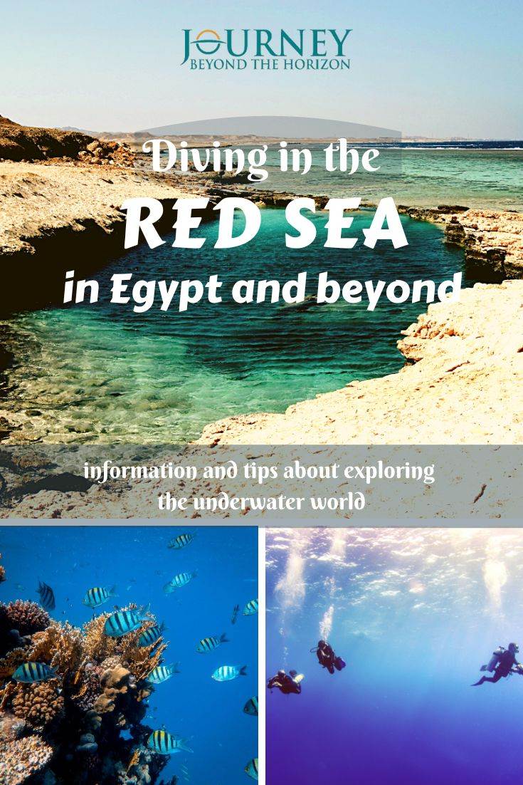 A guide about diving in the Red Sea- geography, diving spots, liveaboard tours and useful information. and tips.