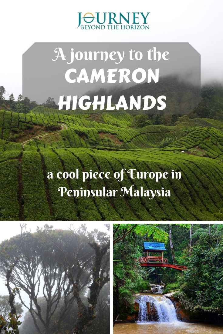 Make a journey to the Cameron Highlands- a cool piece of Europe in the heart of Peninsular Malaysia