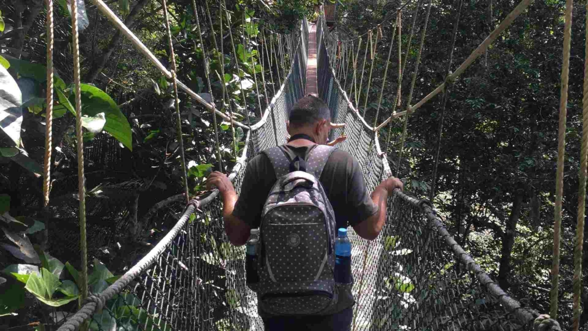 On the Canopy Walk Bridge