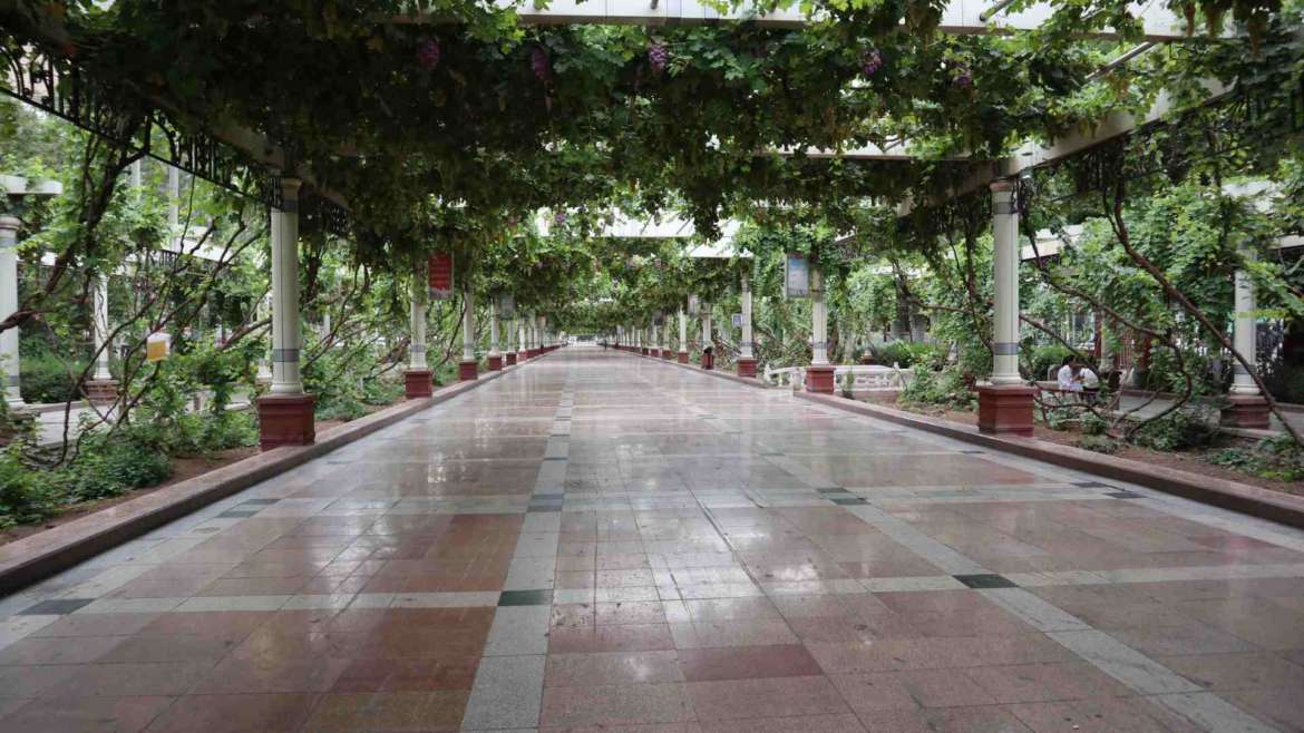 Travel in Turpan- On the vineyard pedestrian street of Turpan